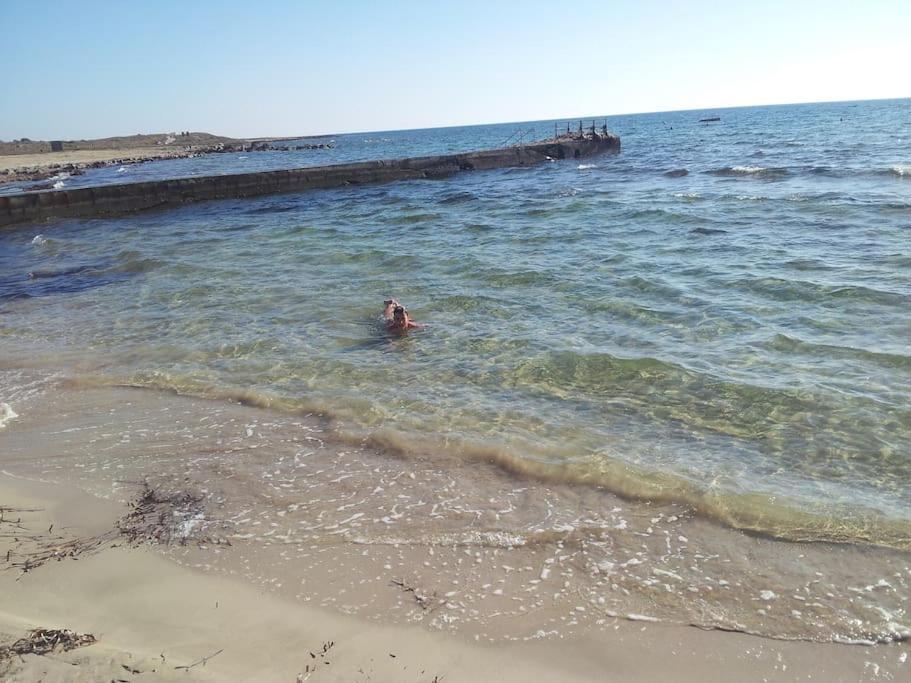 A Stone'S Throw From Everything Paphos Exteriör bild